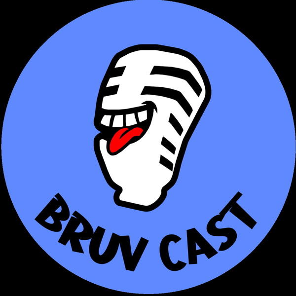 Artwork for Bruvcast