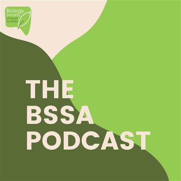 Artwork for BSSA Podcast