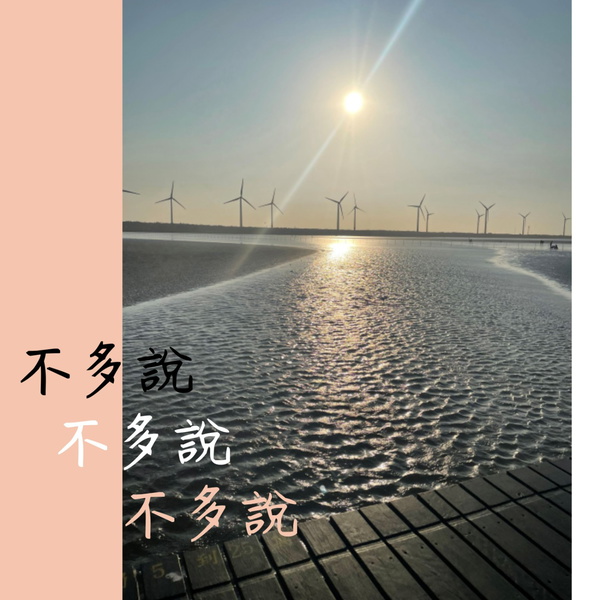 Artwork for 不多說