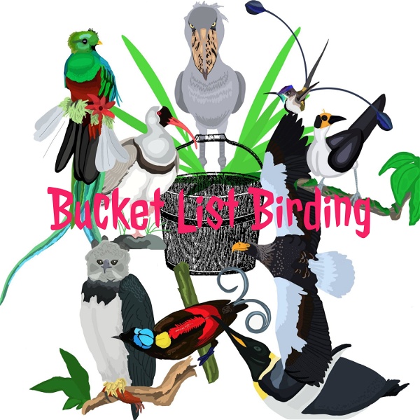 Artwork for Bucket List Birding