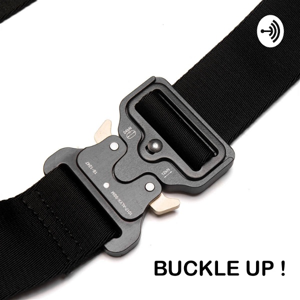 Artwork for Buckle up!