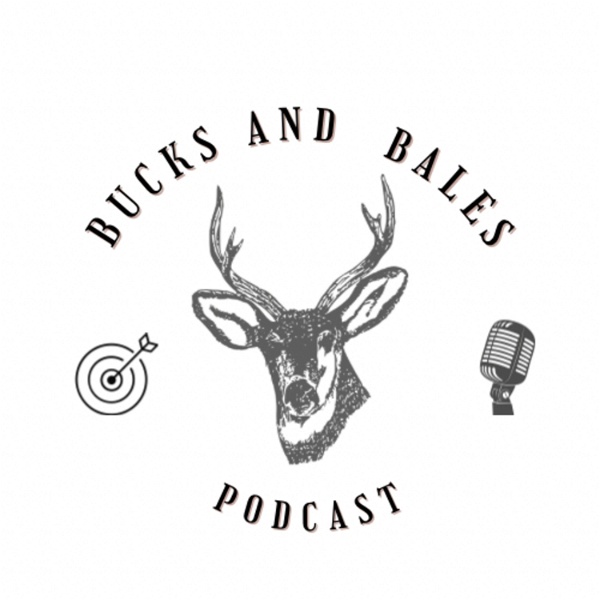 Artwork for Bucks and Bales