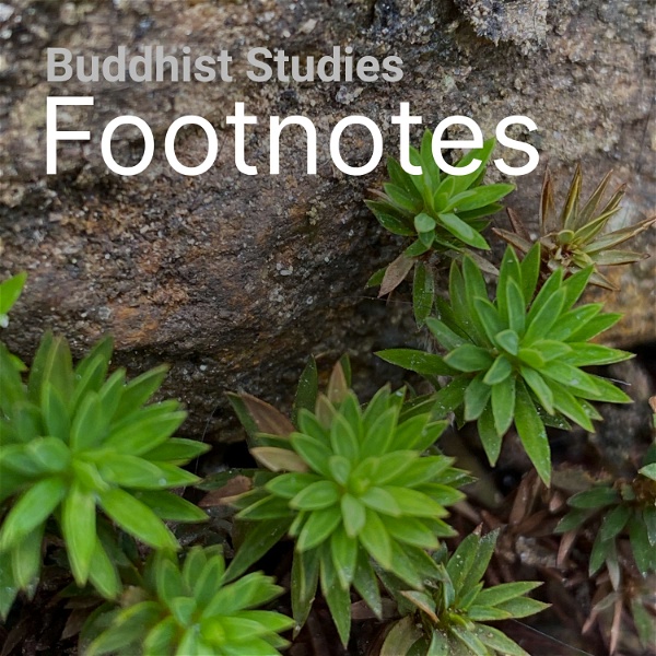 Artwork for Buddhist Studies Footnotes