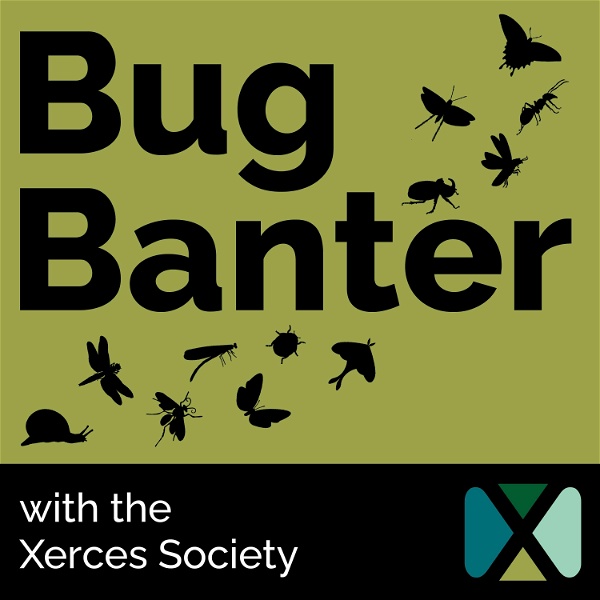 Artwork for Bug Banter with the Xerces Society