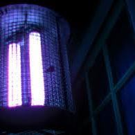 Artwork for Bug Zapper Radio