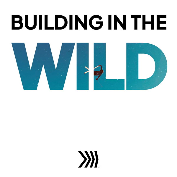 Artwork for Building in the Wild
