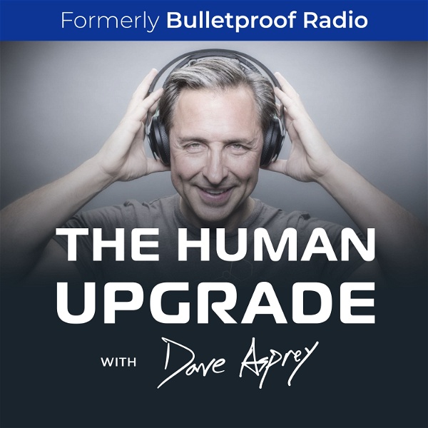 Artwork for The Human Upgrade