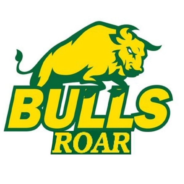 Artwork for Bulls Roar