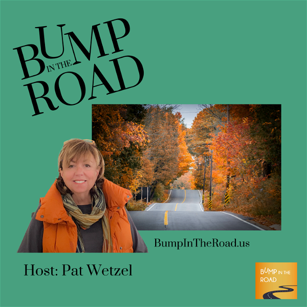 Artwork for Bump In The Road