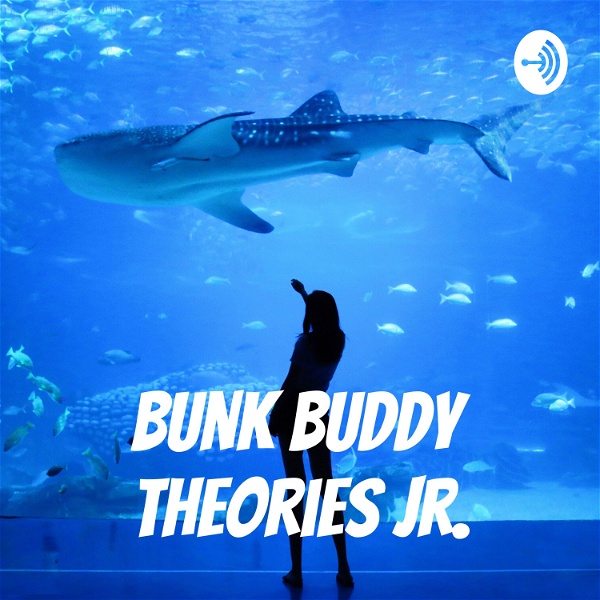 Artwork for Bunk Buddy Theories Jr.