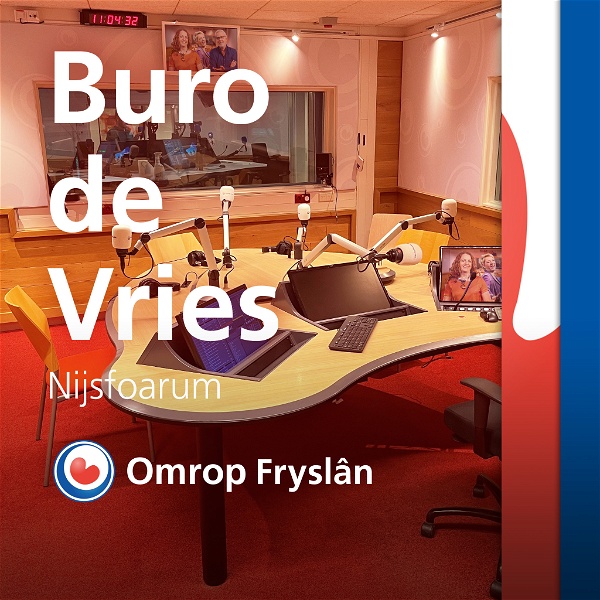 Artwork for Buro de Vries Podcast