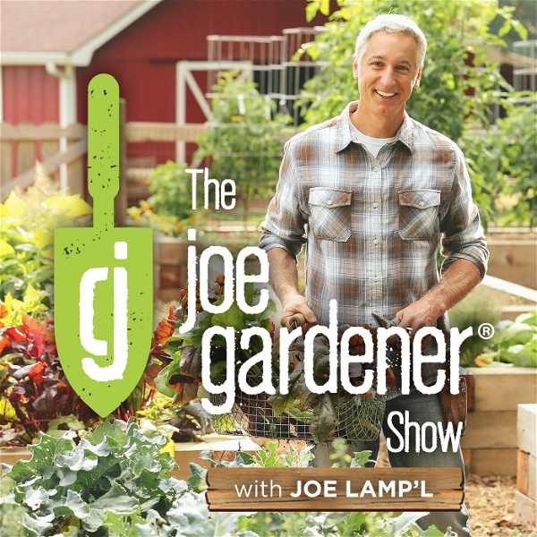 Artwork for Burpee Home Gardens Tip of The Week Podcast