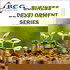 Business Development Series: Life Planning | Role as Business Owner | Growth | Profit | Value