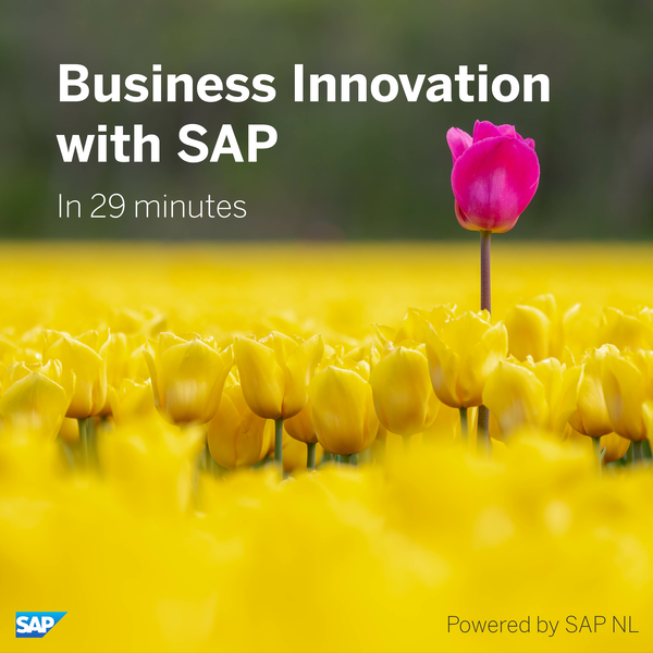 Artwork for Business Innovation with SAP