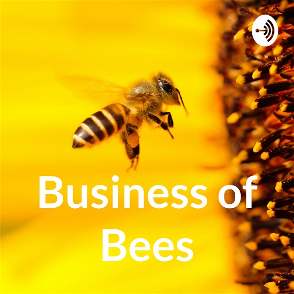 Artwork for Business of Bees