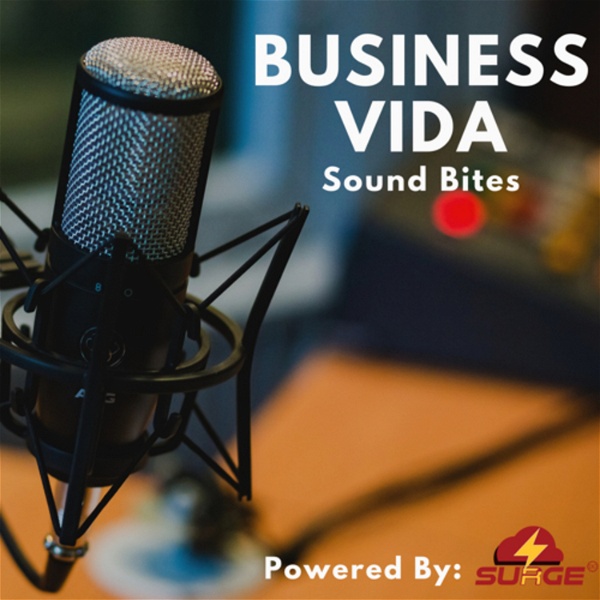 Artwork for Business Vida by Surge