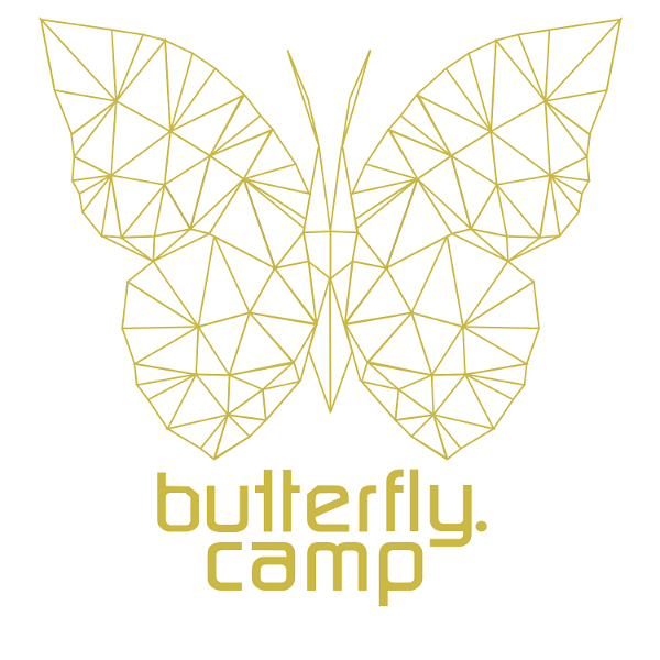 Artwork for Butterfly Camp