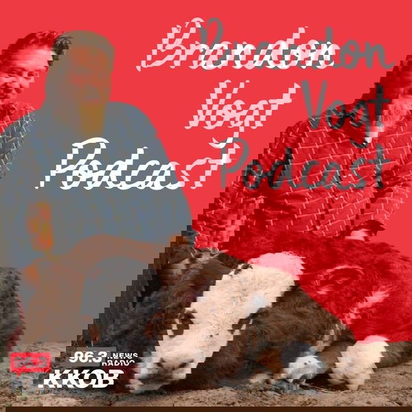 Artwork for BV Today