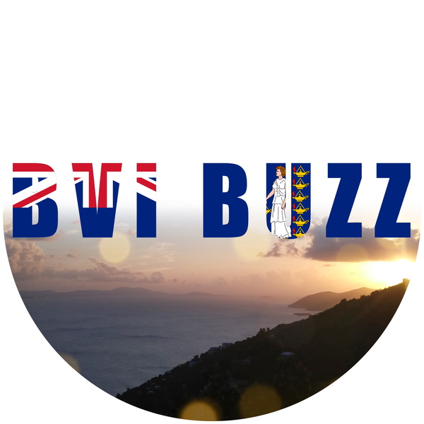 Artwork for BVI Buzz