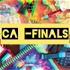 CA Final - ACCOUNTANCY LECTURES
