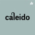 Caleido by MM Company