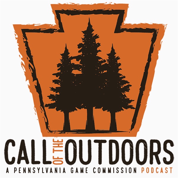 Artwork for Call of the Outdoors