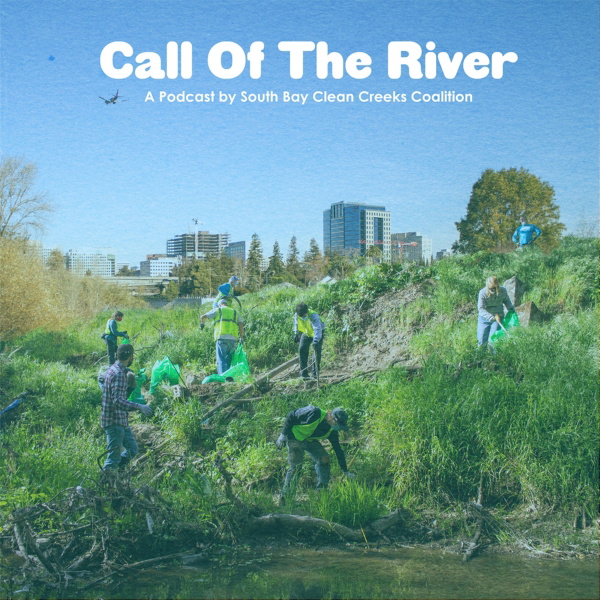 Artwork for Call of The River