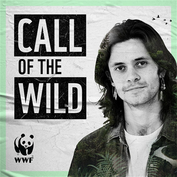 Artwork for Call Of The Wild