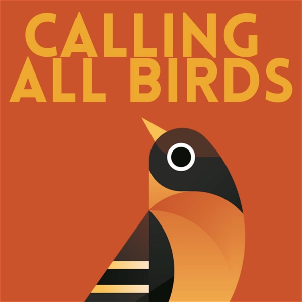Artwork for Calling All Birds