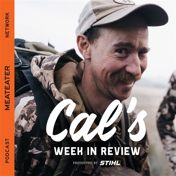 Artwork for Cal's Week in Review