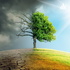 Cambio Climático