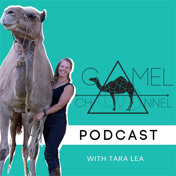 Artwork for Camel Channel