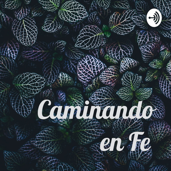 Listener Numbers, Contacts, Similar Podcasts - Caminando en Fe