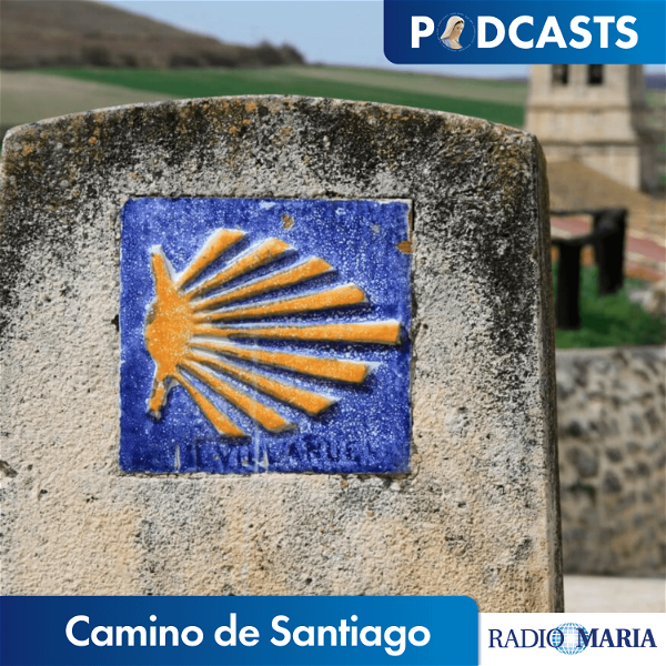 Artwork for Camino de Santiago