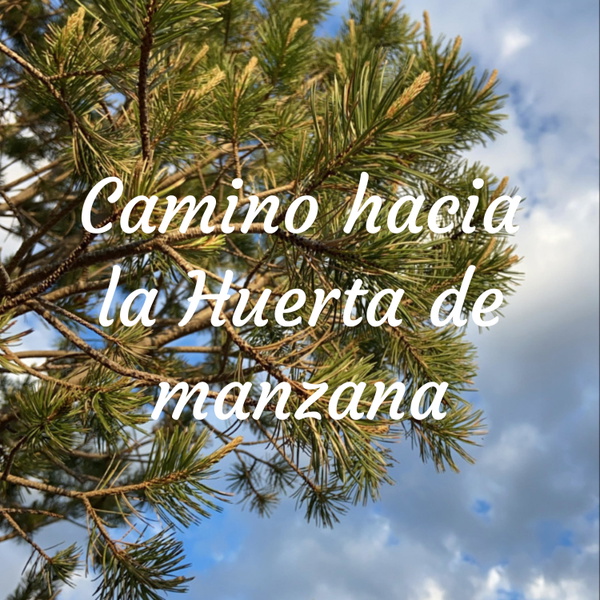 Artwork for Camino hacia la Huerta de manzana