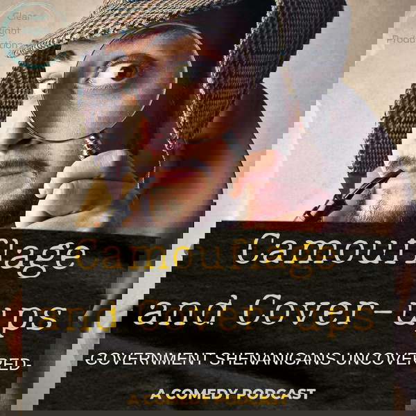 Artwork for Camouflage and Cover ups