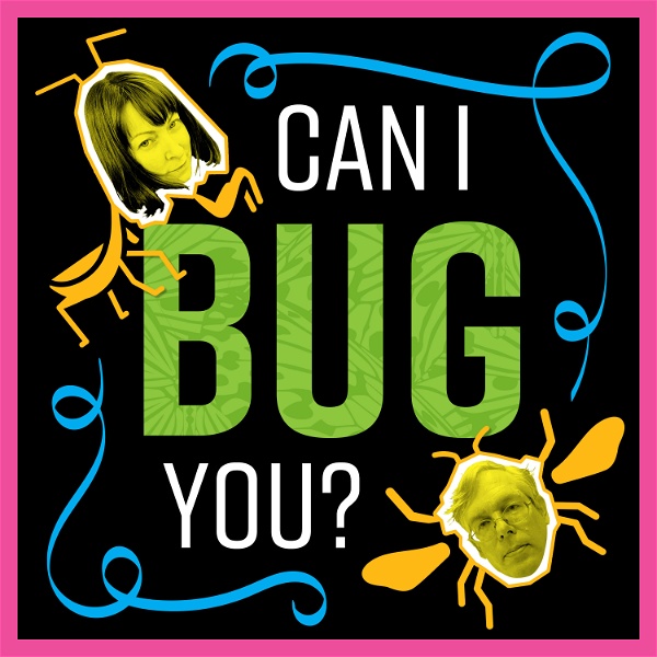 Artwork for Can I Bug You?