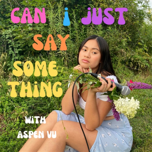 Artwork for can i just say something