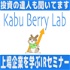 参加型IRセミナー　KabuBerry Lab