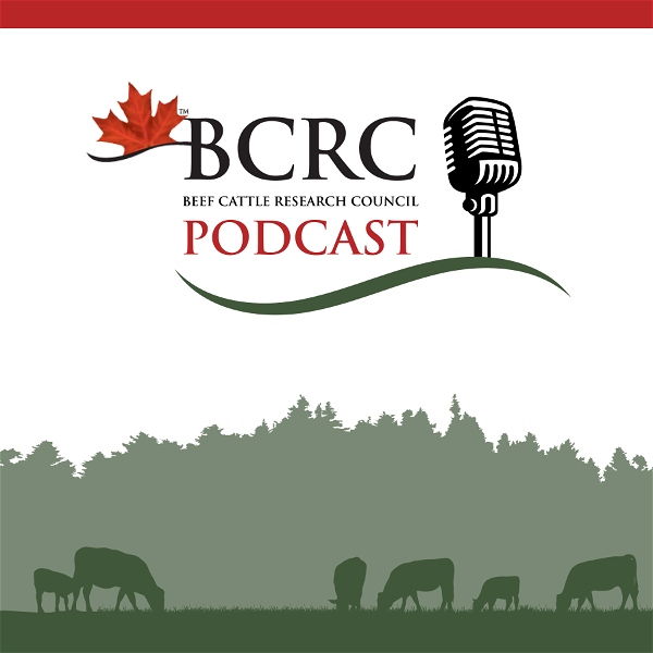 Artwork for Canadian Beef Cattle Podcast