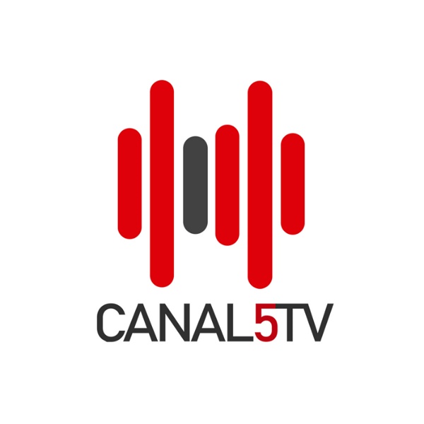 Artwork for CANAL 5 TV