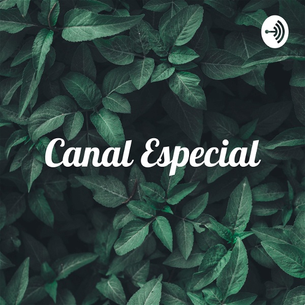 Artwork for Canal Especial: Campo Disciplinar