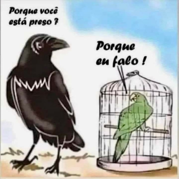 Artwork for Notícia & Opinião