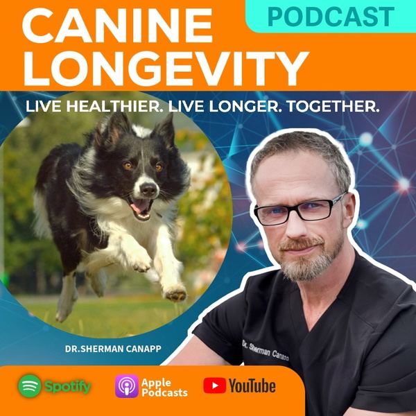 Artwork for Canine Longevity