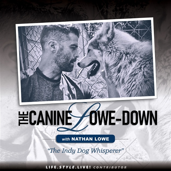 Artwork for The Canine Lowe-Down