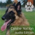Canine Nation