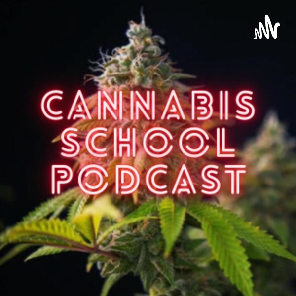 Artwork for Cannabis School