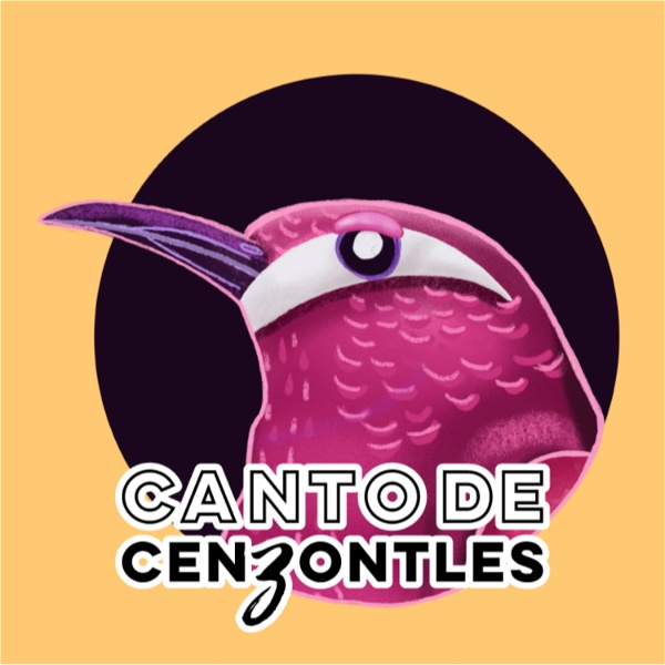 Artwork for Canto de Cenzontles
