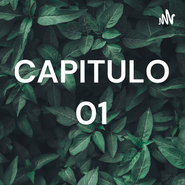 Artwork for CAPITULO 01
