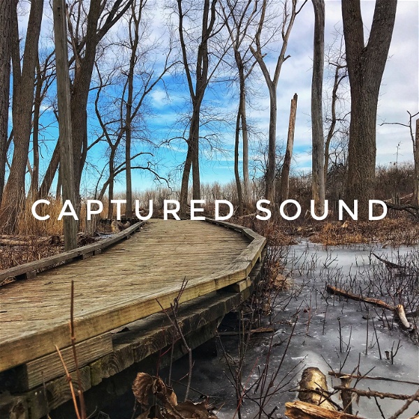 Artwork for Captured Sound